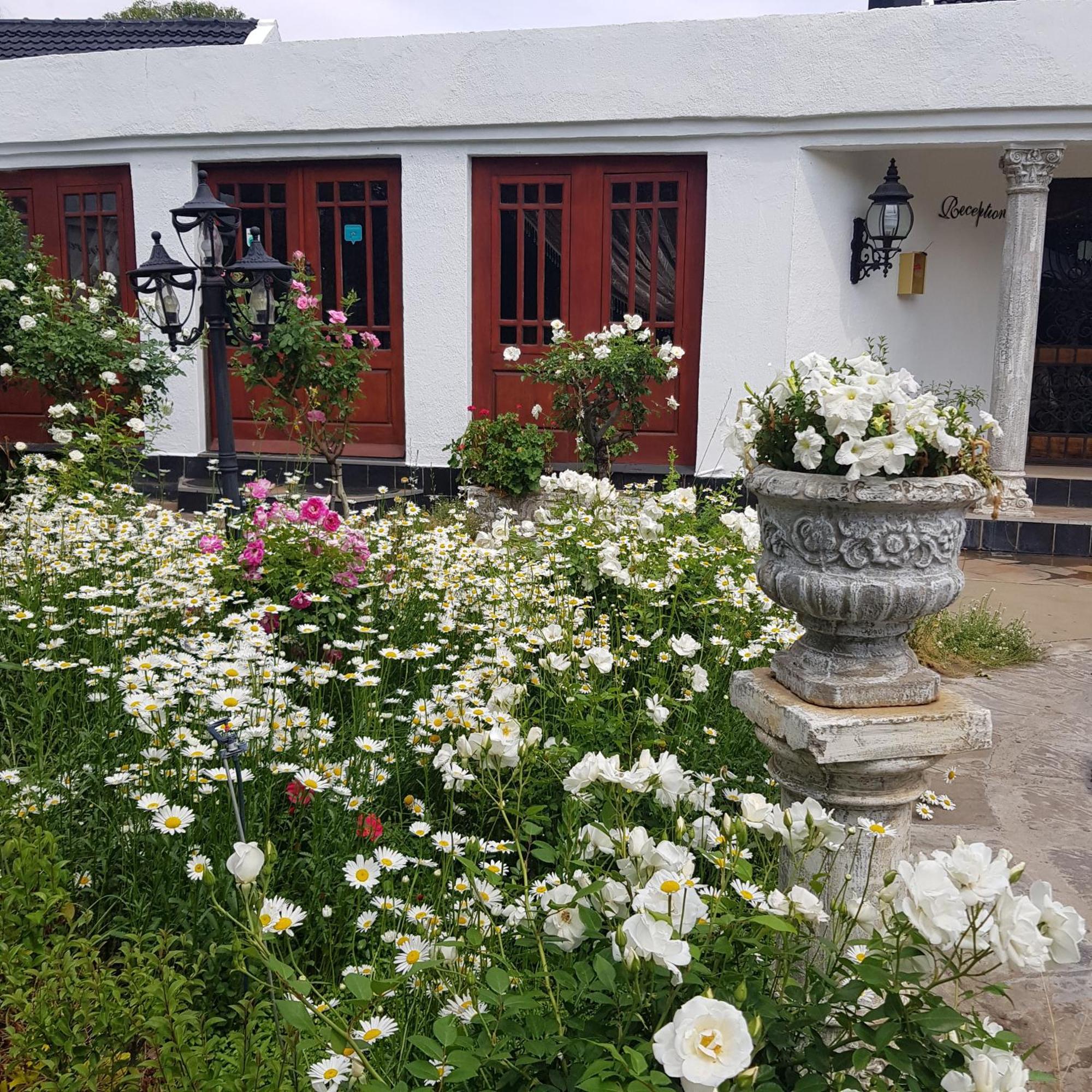 Lamon Guesthouse Kroonstad Dış mekan fotoğraf